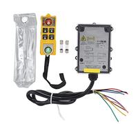 Telecomando per Gru di Sollevamento, Kit Trasmettitore Radiocomando per Paranco Elettrico a Canale Industriale a Maniglia Singola, Telecomando per Gru Senza Fili per Gru di Sollevamento(AC 220V)