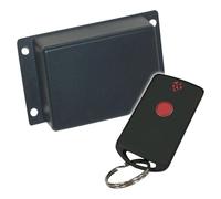 Telecomando Sistema, Fm, 1 Canale - RF Solutions