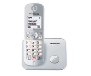 Telefono cordless Panasonic KX-TG6851SP Argento