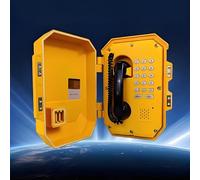 Telefono di emergenza antideflagrante con allarme sonoro e luminoso, protocollo IP Network SIP2.0, per centrali elettriche e stazioni di servizio Comunicazione di sicurezza