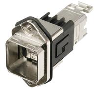 Telegärtner 100007423 531185 RJ45 variante 14 100007423 Presa con telaio di