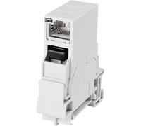 Telegärtner 100007437 Connettore per guide portanti RJ45 Giunto da pannello P