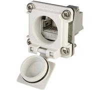 Telegärtner 100022954 STX V6 531185 RJ45 variante 6 Giunto da pannello Poli: