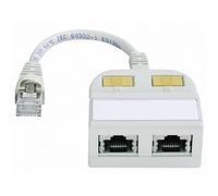 Telegärtner 100023150 RJ45 Rete Adattatore a Y CAT 5e [2x Presa RJ45 - 1x Spina