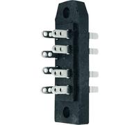 Telegärtner 100023261 Connettore maschio Tot poli 12 Numero di righe 2 1 pz.