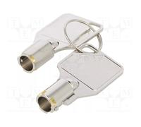 TELEMECANIQUE SENSORS XCSZ25 Chiavi per il bloccaggio