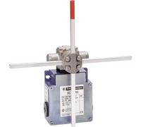 Telemecanique XCKMR54D1H29 Fine corsa Leva in metallo IP66 1 pz.