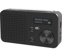 TELESTAR TOP 100 - Radio portatile DAB+/FM (batteria sostituibile, fino a 15 ore di riproduzione, tempi di ricarica brevi, Bluetooth 5.4, lettore multimediale USB) - Nero