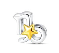 Teleye Fascino Capricorno, Fascino Braccialetto Perline, Adatto per Bracciali 3mm-4,5mm