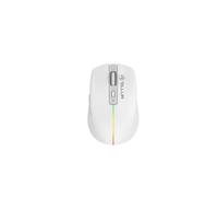 TELLUR Mouse senza Fili con Click Silenzioso, Ricaricabile, Nano Ricevitore USB 2.4 Ghz, Mouse Wireless con Click Silenzioso, 1600DPI, Banda Luminosa RGB, Design Sottile e Leggero da Portare (Bianco)