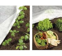 Telo antigelo tnt protezione piante stars bianco gr/mq 17 160 h x 25 mt