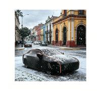 Telo Copriauto Antigrandine per Mazda RX-8,Leggero e facile da conservare, anti-grandine e usura, protegge la vernice da scolorimento causato dal sole diretto