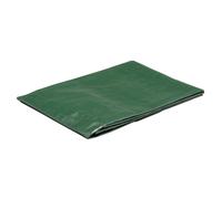 Telo Draper 3 X 2M 140GSM Resistente Alla Muffa Occhielli In Alluminio 04764