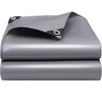 Telo Grigio 1,2x1,8 M 1,5x2 M 1,8x2,4 M 2x3 M 3x4 M Teloni in PVC per Impieghi Gravosi Telo da Terra Impermeabile Coperture per Teloni Multiuso per Mobili da Giardino Capann, One Color, 1x1m