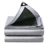 Telo Impermeabile Esterno 1x2m,PE Tarp con Rinforzato Occhielli 130g/m² | Telo Copertura Mobili da Giardino Invernale Multiuso per Piscina,Campeggio,Tenda,Barche,Legno,Auto(Silver-Green,2x5m)