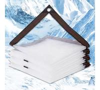 Telo Impermeabile Esterno 2.9 x 5.5 m 450 Gr Mq con Occhielli, Pe, Impermeabile, Protezione Solare Telone Protettivo di Copertura per Balcone, Giardino, Serra, A