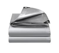 Telo Impermeabile Esterno Ai Raggi UV con Occhielli 100x240cm Argento | Telone Con Occhielli Per Sotto Tenda Con Occhielli Per Il Giardino