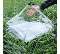 Telo impermeabile trasparente resistente della tela cerata del PVC con Eyts0.35mm 240x450cm Copertura antipioggia per i pannelli laterali del gazebo del balcone Protezione della serra