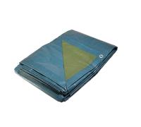 Telo IN Plastica Blu E Verde 150g/M² - Telo Da Protezione 10x15 M