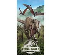 Telo Mare Jurassic Word Dinosauri Dimensione 70 x 140 Centimetri Ideale Per Mare E Piscina