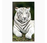 Telo mare, motivo: tigre bianca, 90 x 170 cm