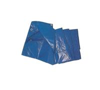 Telo Occhiellato Blu Polietilene 85g 6x10 metri Impermeabile