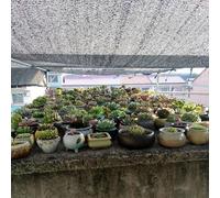 Telo ombreggiante da giardino con occhielli, 50% protezione dai raggi UV, tessuto per piante, serra, fienile, casa degli animali domestici, pergola (8 x 9 m)