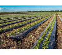 Telo Pacciamatura Drenante Verde Per Giardino, Serra, Orto Anti Erbacce
