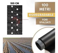 Telo PACCIAMATURA Nero Biodegradabile Fori Sfalsati 40 x 40cm Larg 100 cm Orto