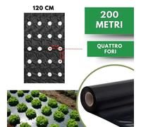 Telo PACCIAMATURA Polietilene Nero 200m 4 Fori 28x26 cm Larg. 120 cm Antierbacce