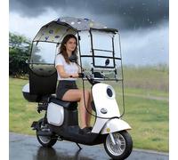 Telo parasole universale per moto, ombrello completamente chiuso per scooter, tenda antipioggia trasparente, tendalino impermeabile pieghevole per auto e-bike(Gray)