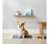 Telo per addestramento per animali in tessuto non tessuto 400 pz