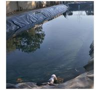 Telo Per Laghetto 20S Film Di Sigillatura Laghetti Giardino HDPE Nero Per Uso Rivestimento Per Laghetti Nuoto Film Laghetti Pesci Fontane Giardini D'acqua Cascate(Size:5*6m(16.4*19.6ft) 20S)