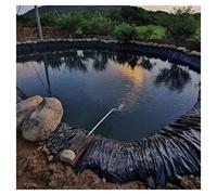 Telo per Laghetto Nero in PVC da Giardino Telo per Il Laghetto del Giardino, Impermeabile Laghetto per Pesci di Grandi Dimensioni Liner Gardens Pools Membrane Reinc(Color:20S,Size:6x6M(19.7x19.7ft))