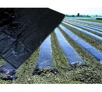 TELO PER PACCIAMATURA SENZA FORI H. cm. 120 Rotolo mtl. 50