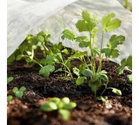 Telo protettivo invernale per piante, in tessuto non tessuto stabilizzato e resistente agli strappi, per un'efficace protezione antigelo con circolazione dell'aria e dell'umidità (3 x 15 m, bianco)