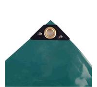Telo PVC Impermeabile 2x3m Resistente per Esterni
