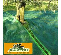TELO RETE RACCOLTA OLIVE ANTISPINA OCCHIELLATO RINFORZATO 95 gr 6 x 10 m VERDE