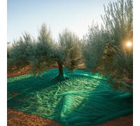 TELO RETE RACCOLTA OLIVE MT.6X6 ANTISPINA CON SPACCO E APERTURA E CON OCCHIELLI