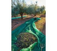 TELO RETE RACCOLTA OLIVE MT. 7X14 ANTISPINA