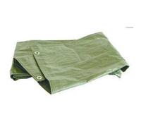 TELO TELONE OCCHIELLATO IMPERMEABILE POLIETILENE ESTERNO CAMPEGGIO MT 8X10 15731