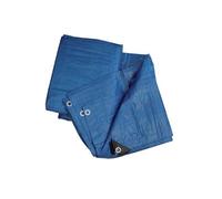 Telo telone occhiellato PVC impermeabile copritutto edilizia 90gr multiuso 5x8