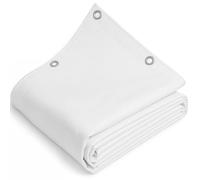 TELOMERITI® - Telo/Telone in PVC 650gr/mq con Occhielli in Alluminio, Rinforzato, tipo da camion, Impermeabile, Copritutto Da Esterno, Vari Colori, Made in Italy (Bianco, 4x6 Metri (24 MQ))