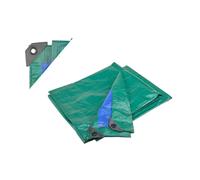 Telone antistrappo occhiellato Papillon 5x6metri in polietilene verde