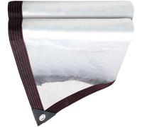 Telone con Occhielli 145 x 460 cm Telone Trasparente per Esterni 80 G M², Antistrappo Antivento Spesso con Corda di Fissaggio da 5 M per Gazebo, Terrazze, B