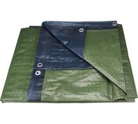 Telone EXTOL PREMIUM PE, impermeabile, spesso 150 g/m2, 10x15 m 14113