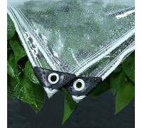 Telone Impermeabile in PVC Trasparente con Occhielli per Esterno,2,5x4,5m Telo Copertura Protezione Piante con Corda - 400g / m² - Spessore 0,39 mm per Balcone,Camper,Serre,Tettoie,Gazebo e Giardino