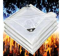 Telone Impermeabile per Esterno 520g/m² 2.5x5m Telo Occhiellato Rinforzato in pvc Copertura per Piscina Auto, Mobili da Giardino, Antipioggia e Antivento Trasparente