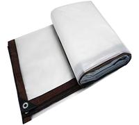 Telone Impermeabile Trasparente 150 x 250 cm Telo Occhiellato Rinforzato 80 G M², Robusto, Spesso, Resistente Al Gelo con Corda di Fissaggio da 5 M per Giardino, Tetto, B