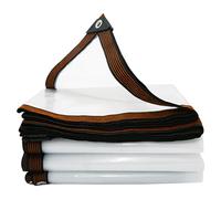 Telone Impermeabile Trasparente 2.9 x 5 cm 450 Gr Mq con Occhielli, Pvc, Impermeabile, Protezione Solare Telone di Copertura con Occhielli per Barca, Auto, Piscina, A